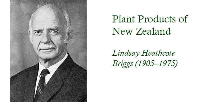 Lindsay Heathcote Briggs portrait